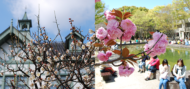 奈良女子大學(xué)